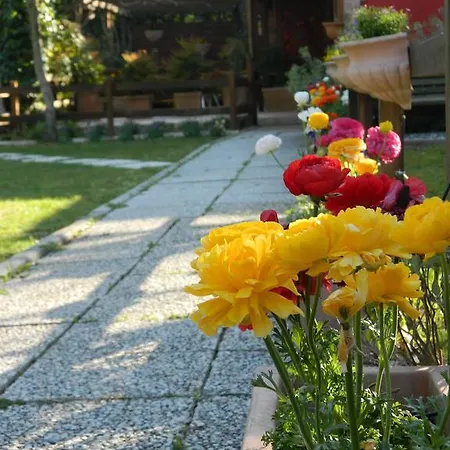 La Di Decima Landsted Castel di Decima