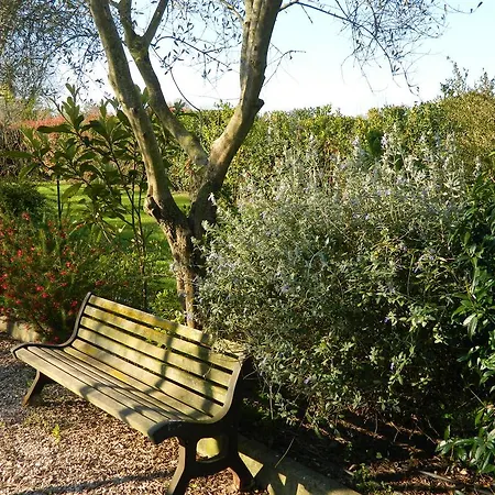 Country Apartments Castel di Decima