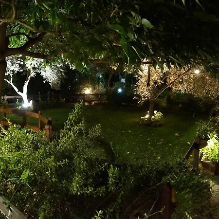 Landsted La Di Decima *